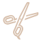 ICON 1 1